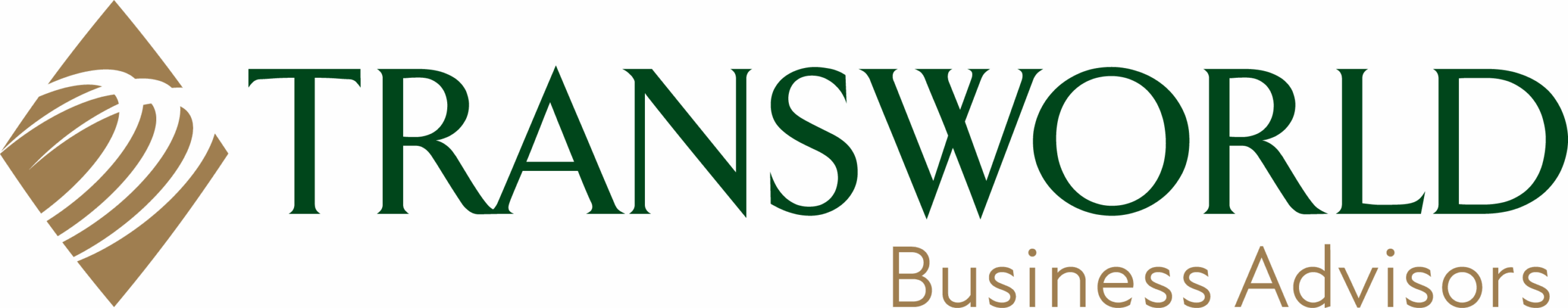 Logo of Transworld Business Advisors with text in green and gold, featuring a stylized globe on the left.